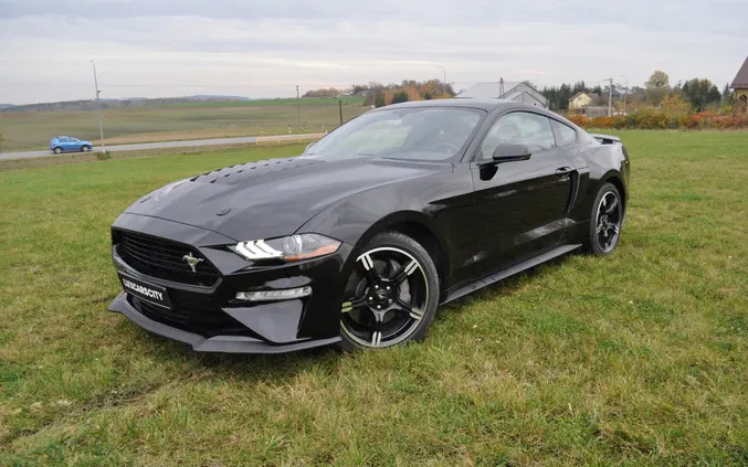 samochody osobowe Ford Mustang cena 169950 przebieg: 7000, rok produkcji 2020 z Pszczyna